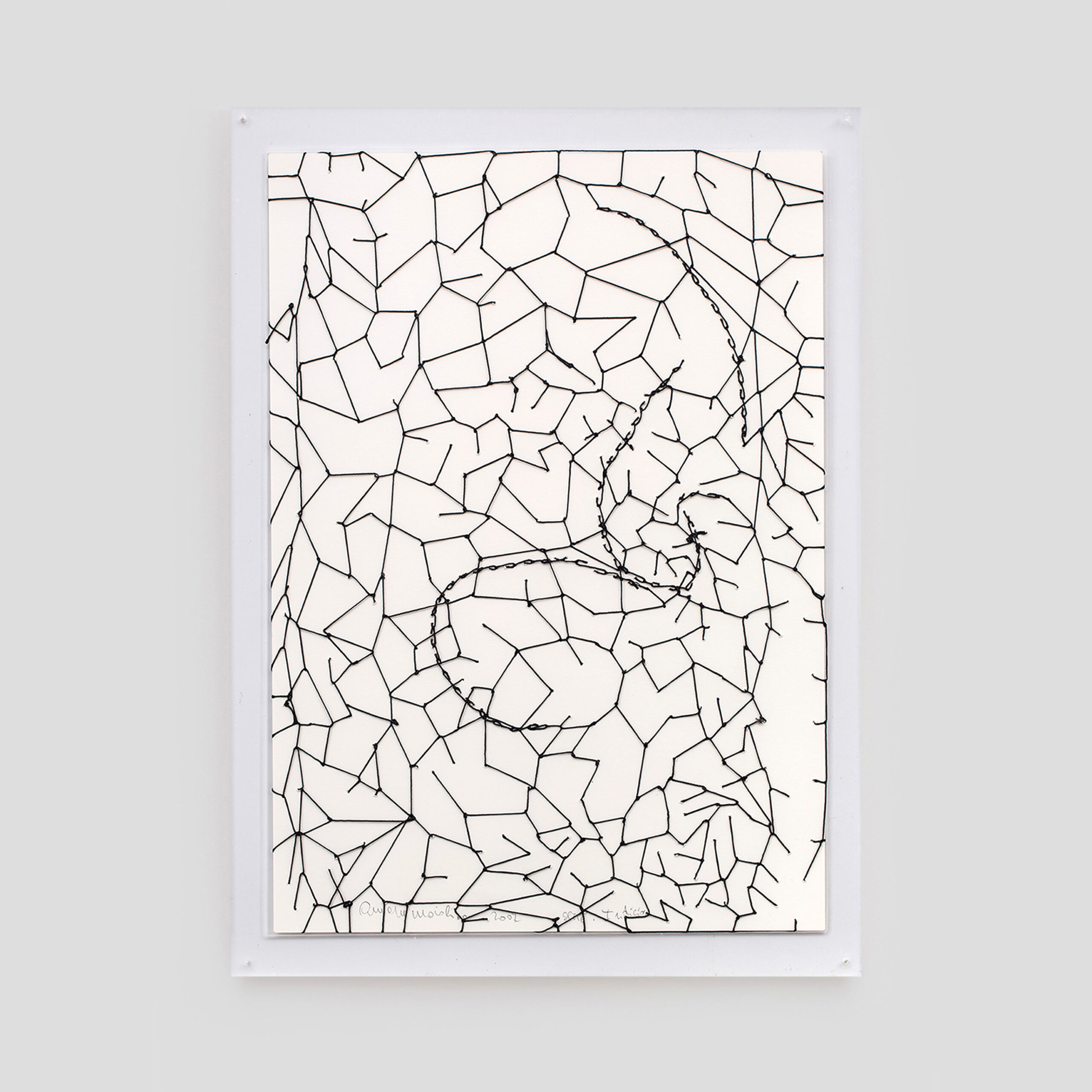 Foto da obra de Anna Maria Maiolino