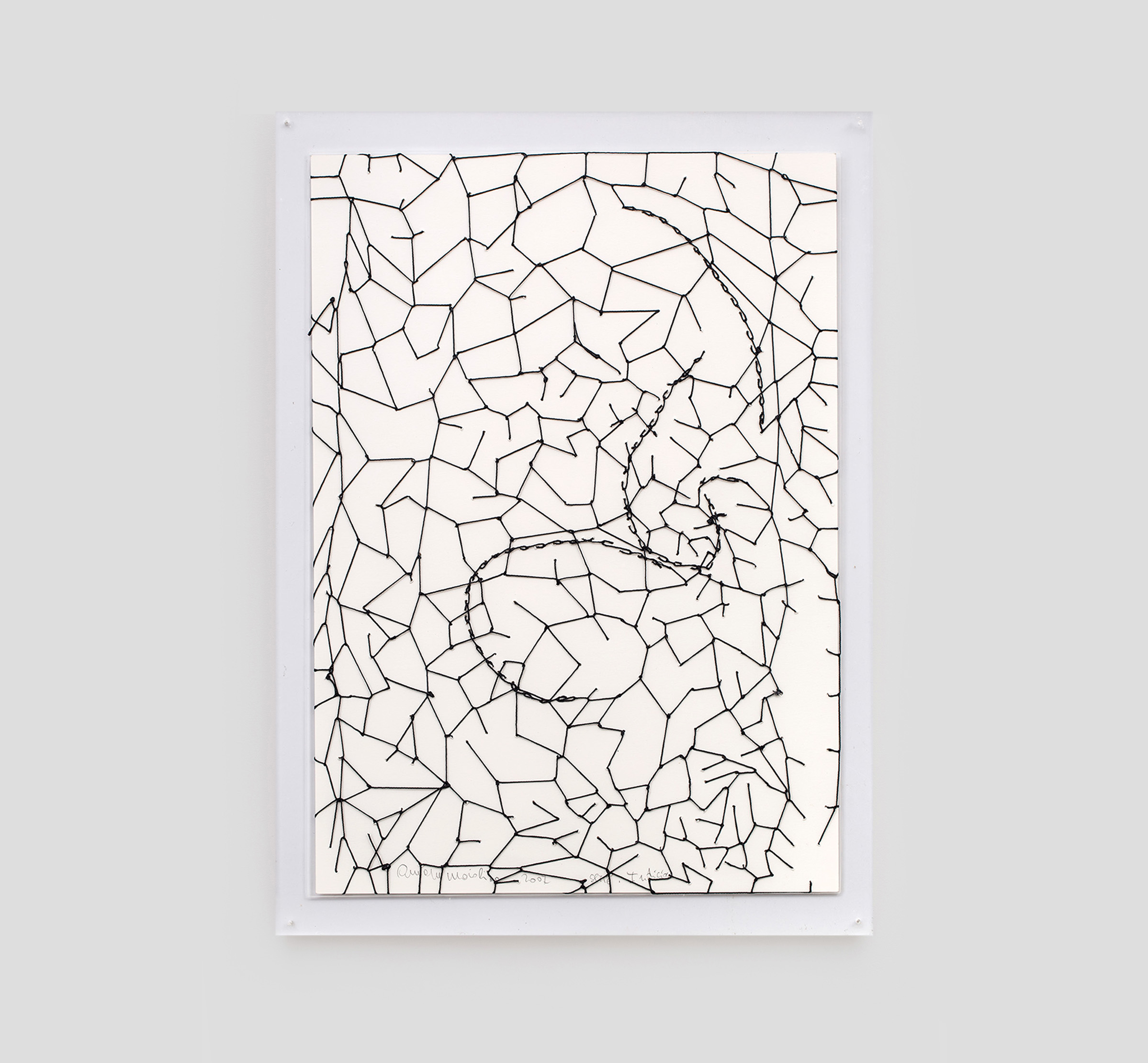 Foto da obra de Anna Maria Maiolino