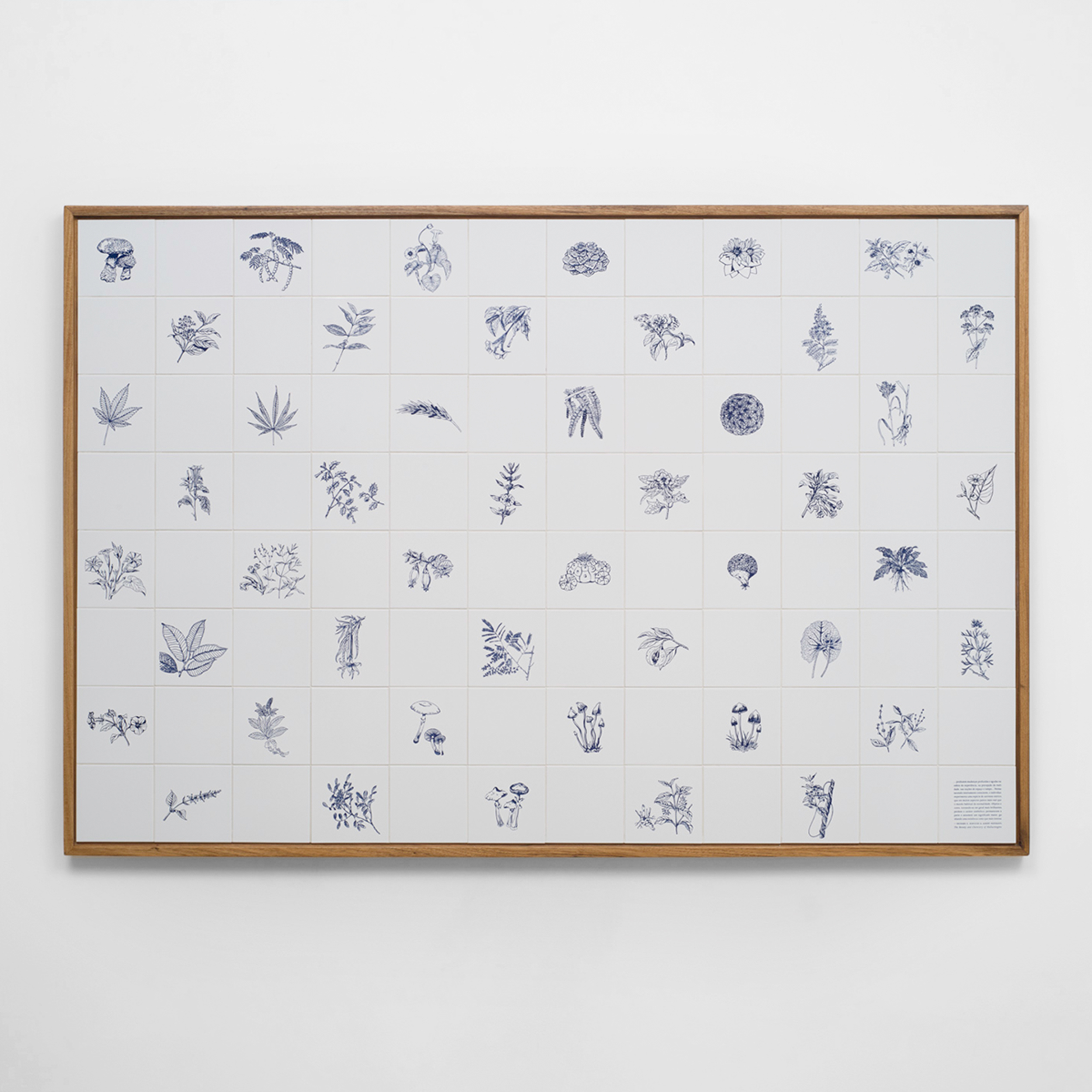 Foto da obra de Adriana Varejão